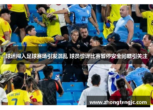 球迷闯入足球赛场引发混乱 球员惊讶比赛暂停安全问题引关注