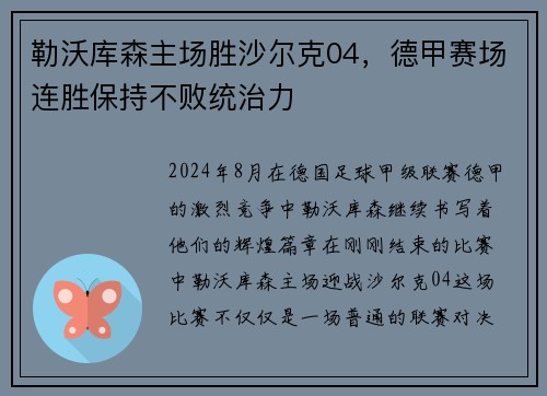 勒沃库森主场胜沙尔克04，德甲赛场连胜保持不败统治力